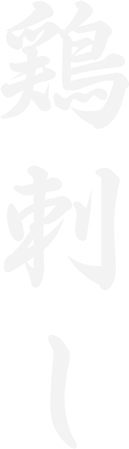 鶏刺し